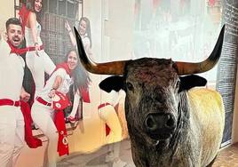 Conoce más de la ciudad de Coria