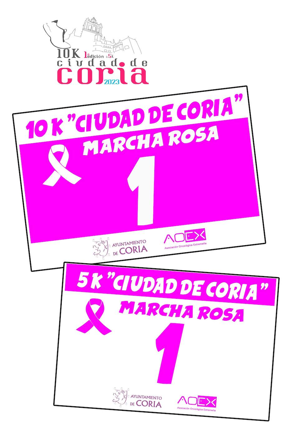 Dorsal de la camiseta.