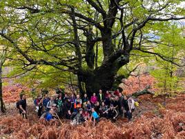 Ruta senderista del pasado domingo.