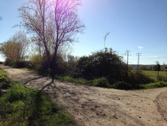 El segundo Paseo Saludable recorrerá el Camino del Rincón, una ruta de 10 kilómetros