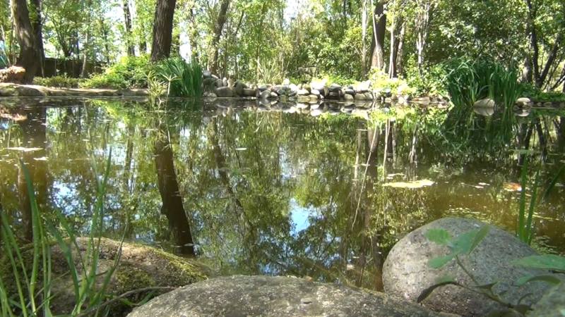 Quejas sobre la propuesta de Restauración de la Naturaleza