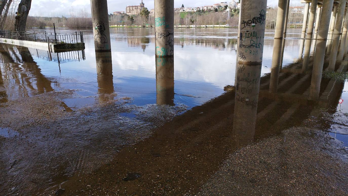 Rio Alagón a su paso por Coria.