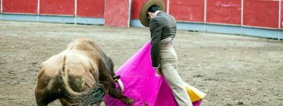 Coria aplaza su Feria Internacional del Toro por motivos meteorológicos