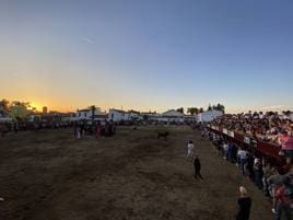 Fiestas del Rincón.