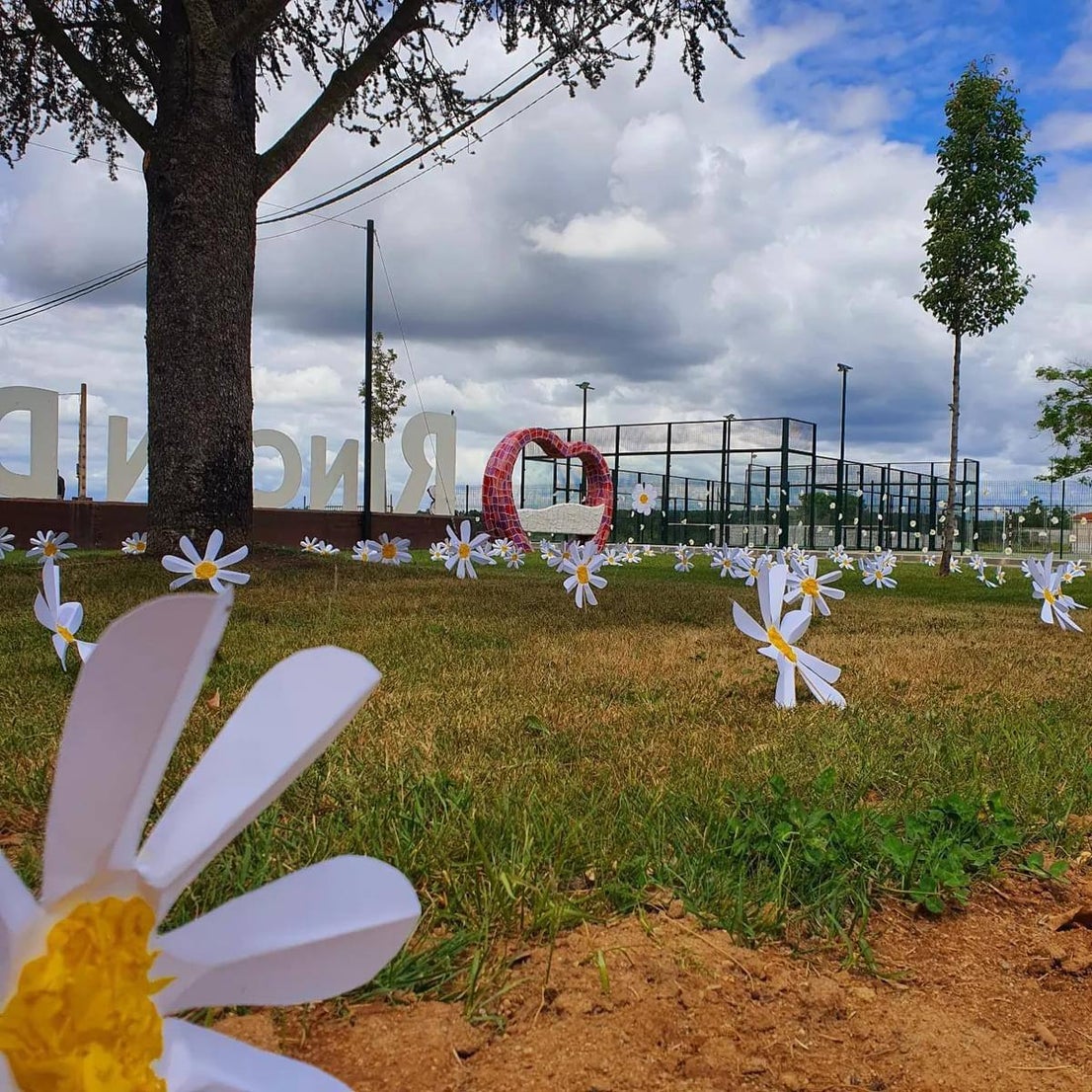 Vecinos del Rincón del Obispo asisten a su IX Festival de las Flores