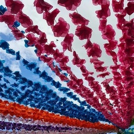 Festival de las Flores