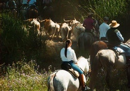 Primer día de San Juan en Coria.