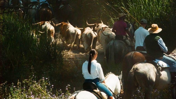 Falta un mes para el inicio de las Fiestas de San Juan 2024