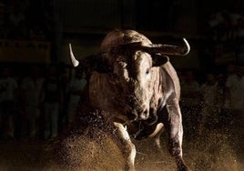 Imagen ganadora en 2018.