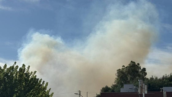 Incendio Forestal en la zona de San Cristóbal en Coria