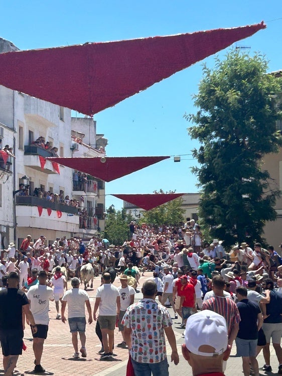 Brezo protagoniza un encierro limpio y emocionante