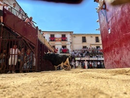 Batanero en la plaza de Coria.