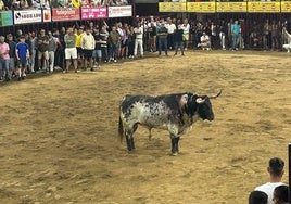 Truco durante su lidia.
