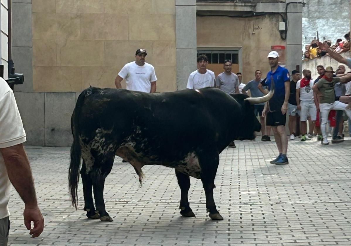 Malacara en la calle.