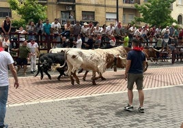 Encierro de Malacara.