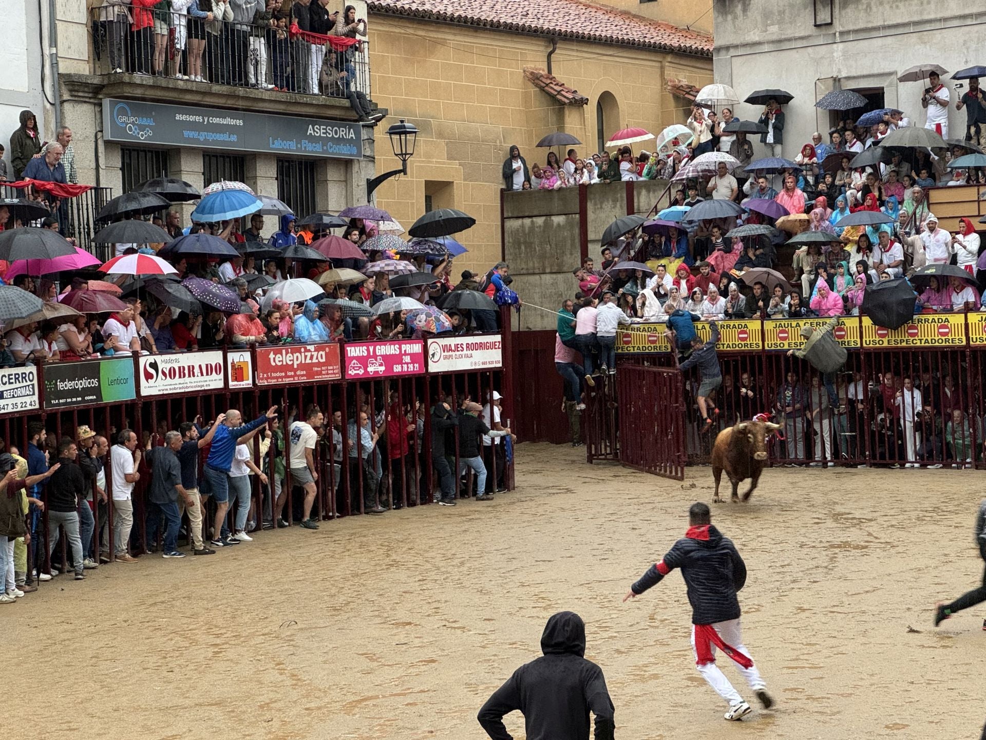 Salida de Matamoros a la plaza de Coria.