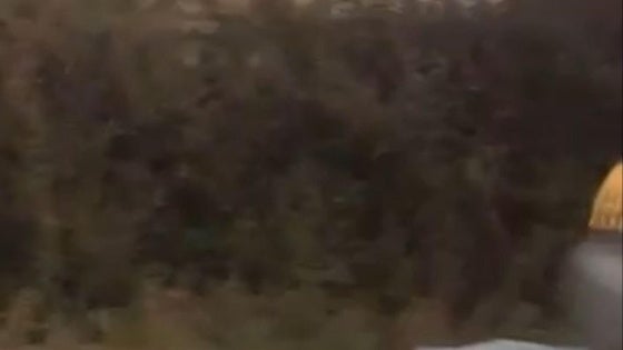 Consternación en Coria: Bienve, pierde la vida en un atropello mientras volvía de su finca