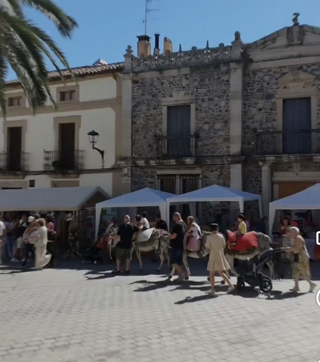 Recuerda cómo se ha vivido el Mercado de las Velas y el Jueves Turístico de 2024