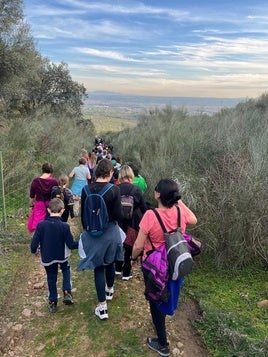 Paseos saludables en Coria.