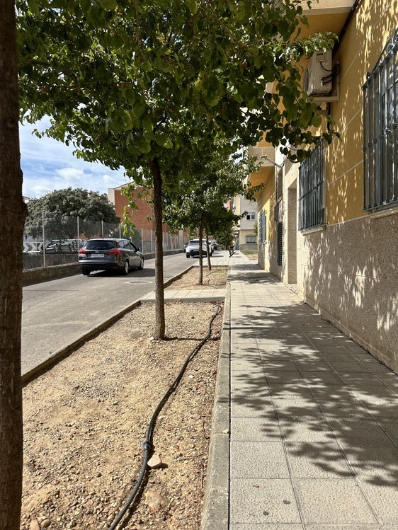 La próxima semana comenzarán las obras de reforma de la calle Mezquita