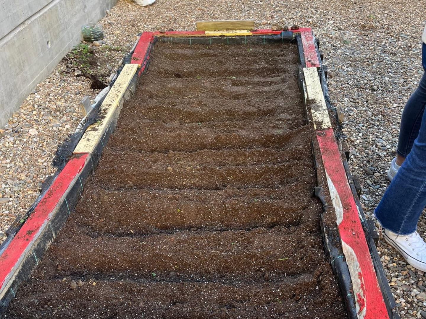 El IES Caurium de Coria inaugura un huerto escolar en colaboración con el proyecto intergeneracional