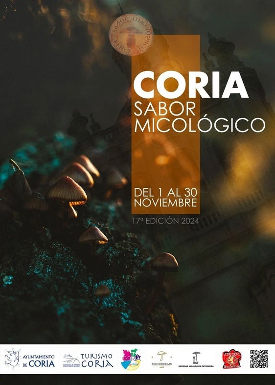 Coria celebra la 17ª Edición Gastronómica «Coria Sabor Micológico» durante noviembre
