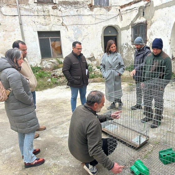 Coria intensifica las labores de control de la población de palomas con métodos innovadores