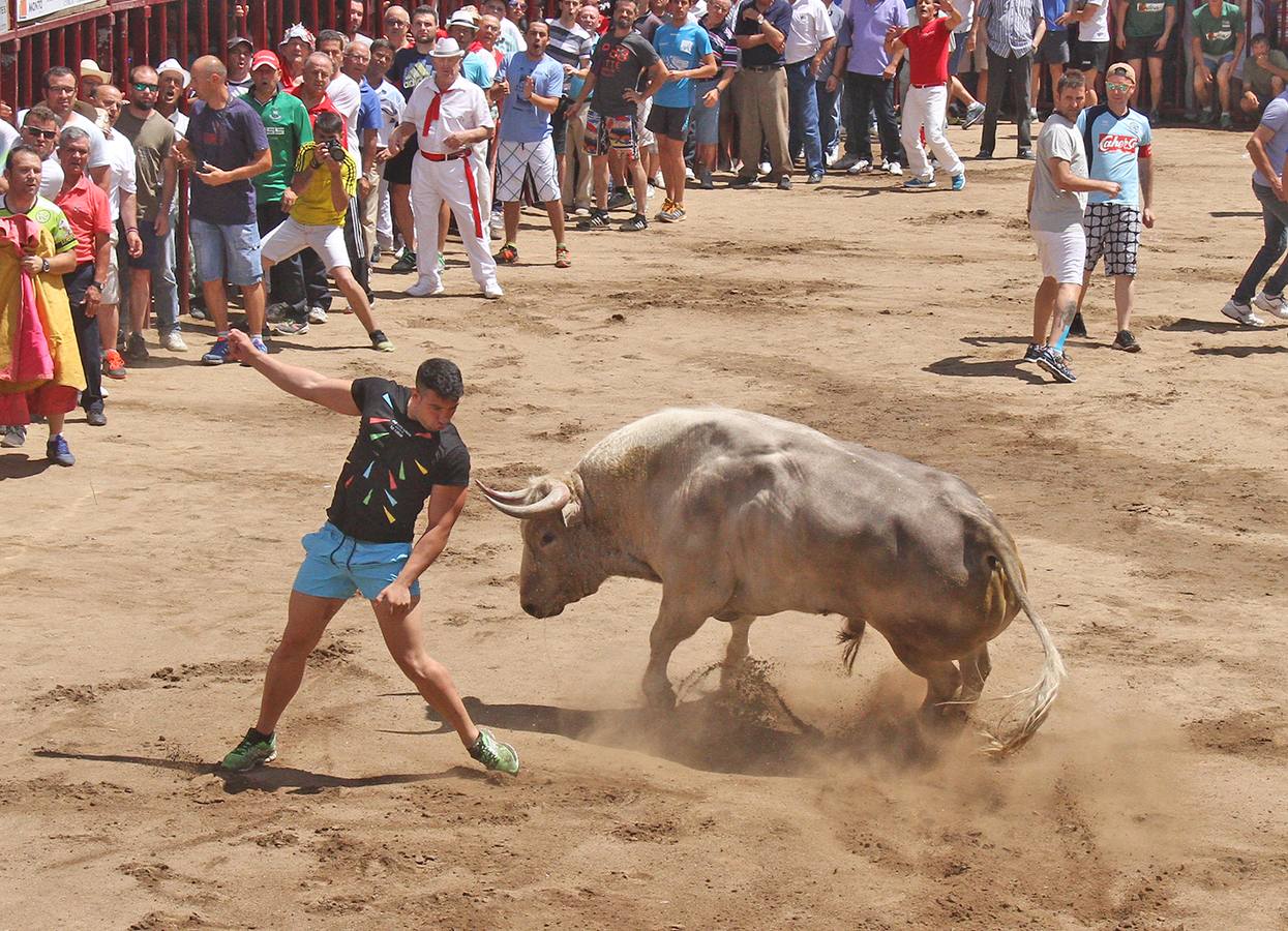Vivaracho en la plaza