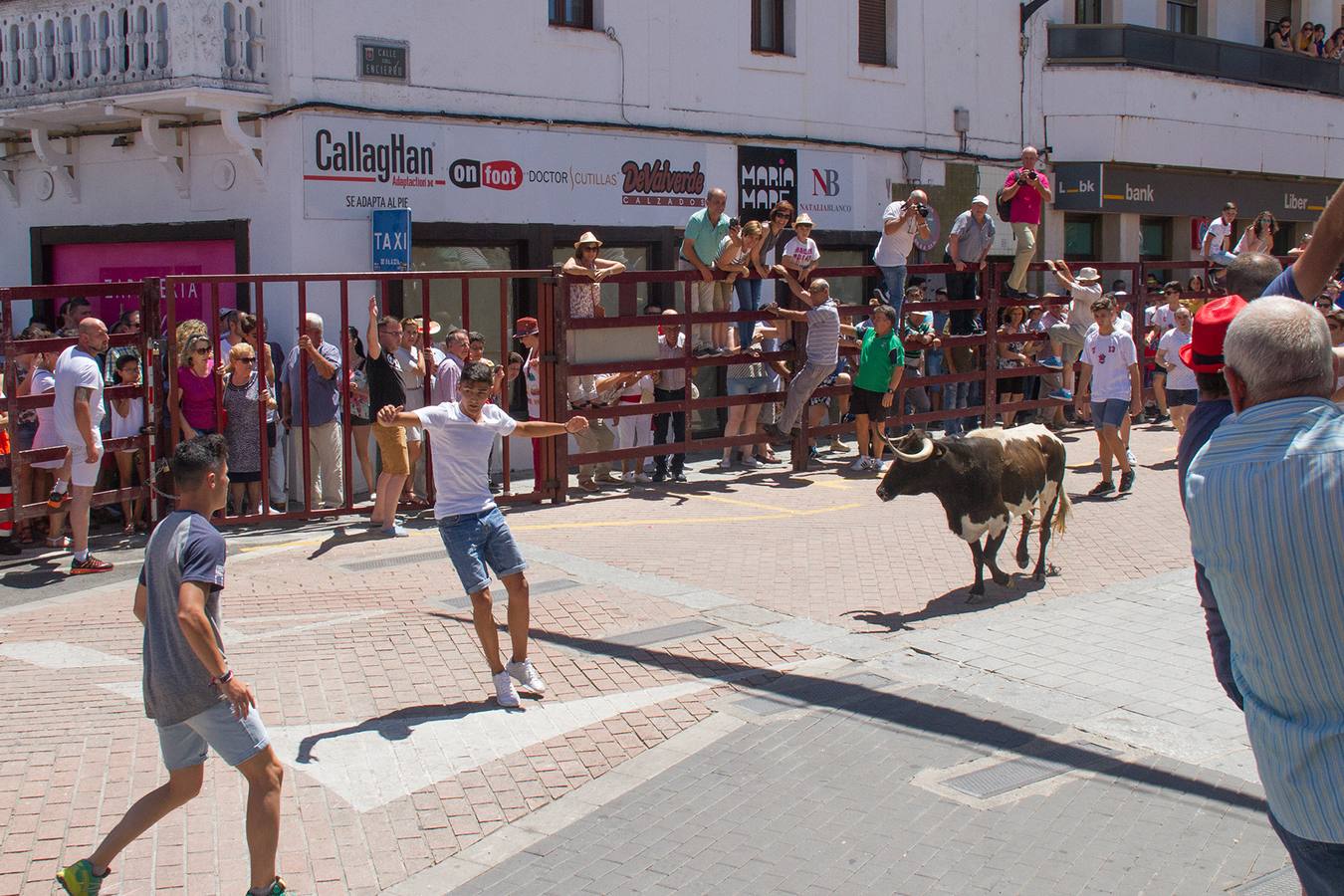 Jóvenes haciendo quites a la vaca de La Rana