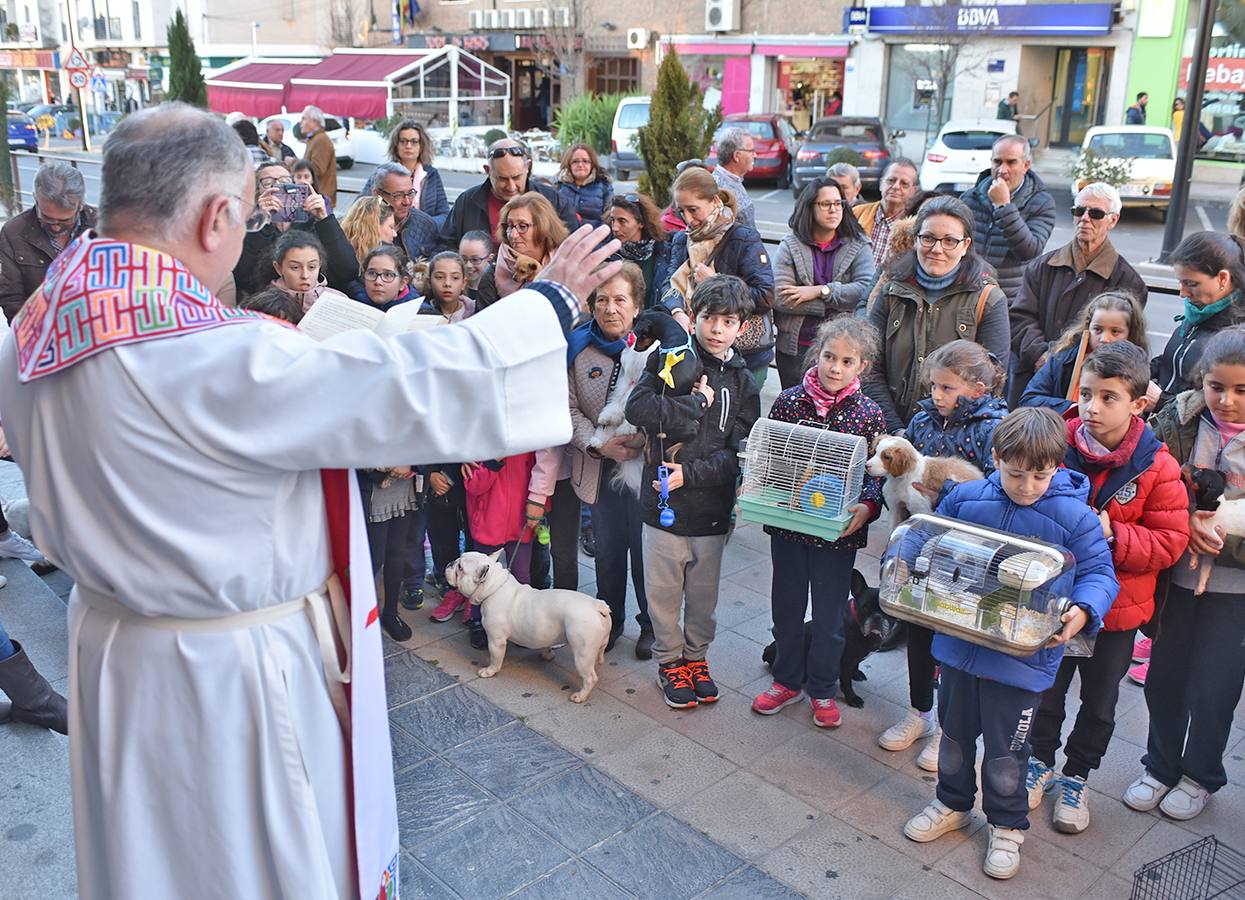 El párroco, Julián Carlos Pérez, bendice las mascotas