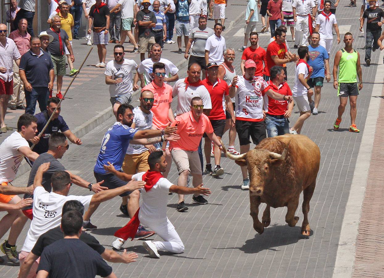 Encierro del toro Rayito