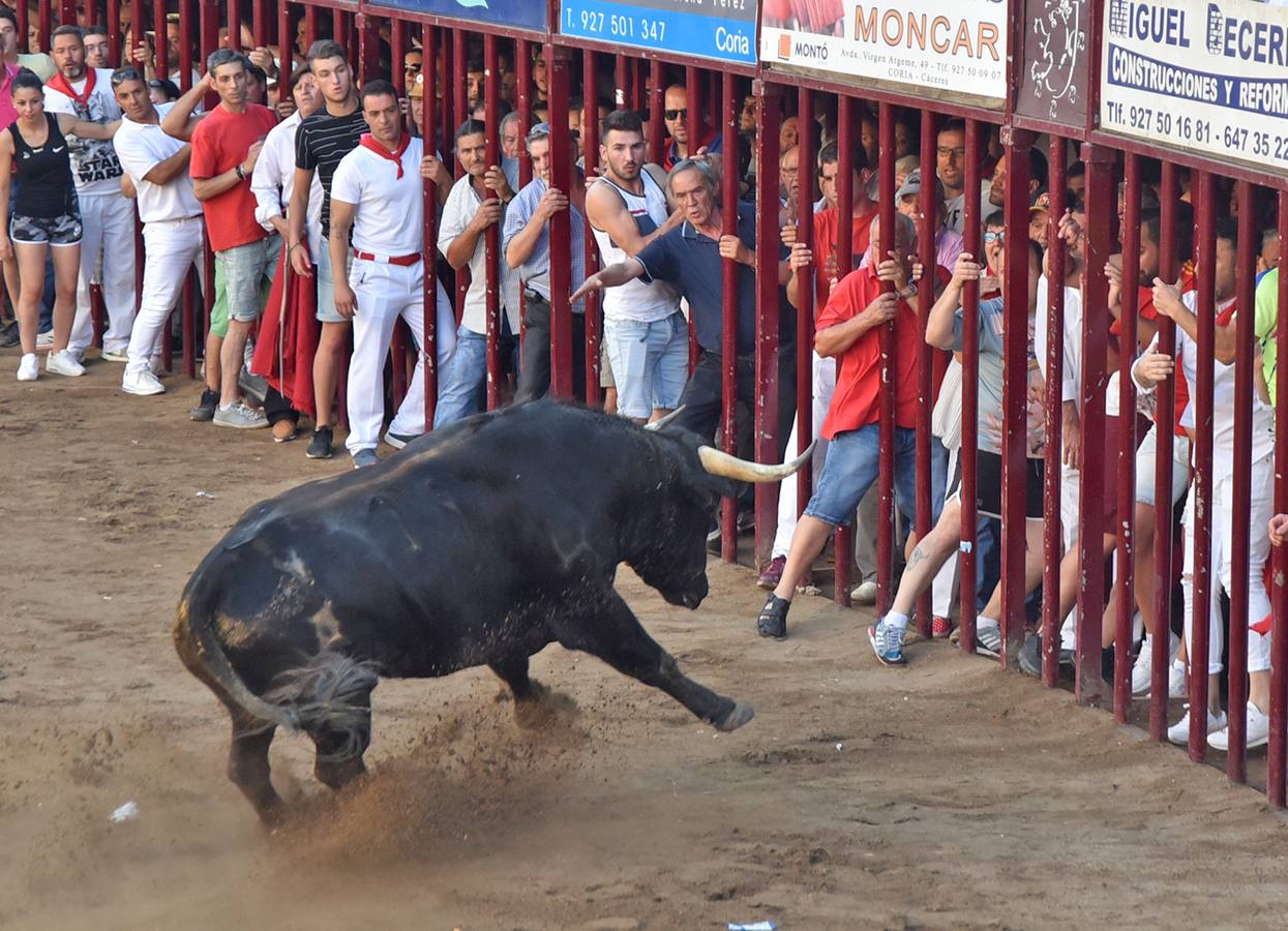 Peligroso en la plaza