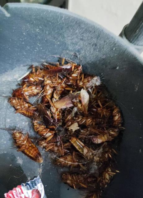 Imagen - Imagen compartida por un vecino de Don Benito en las redes sociales del Ayuntamiento