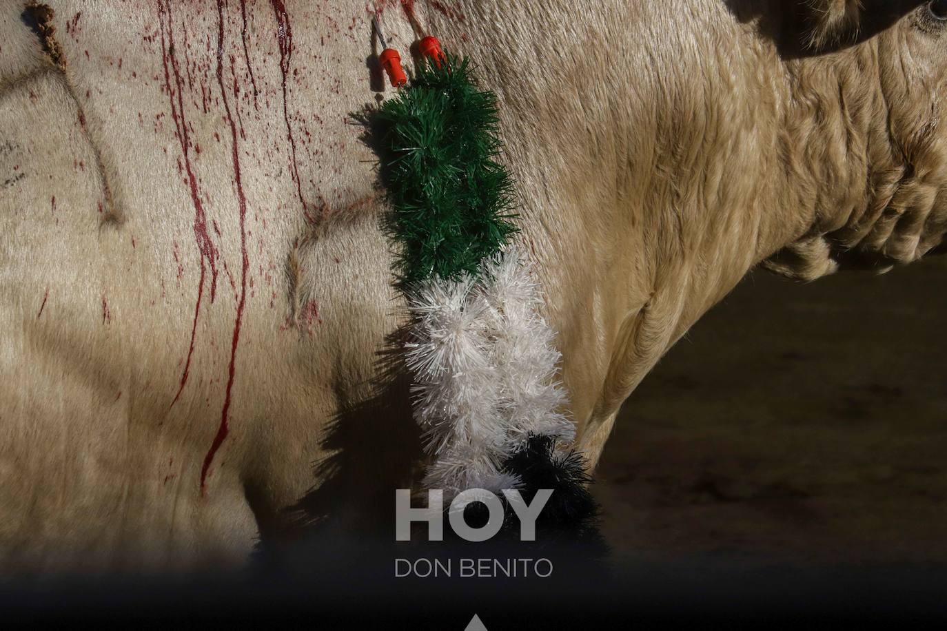 Corrida de toros mixta en la plaza de toros de Don Benito con motivo del día de Extremadura. 