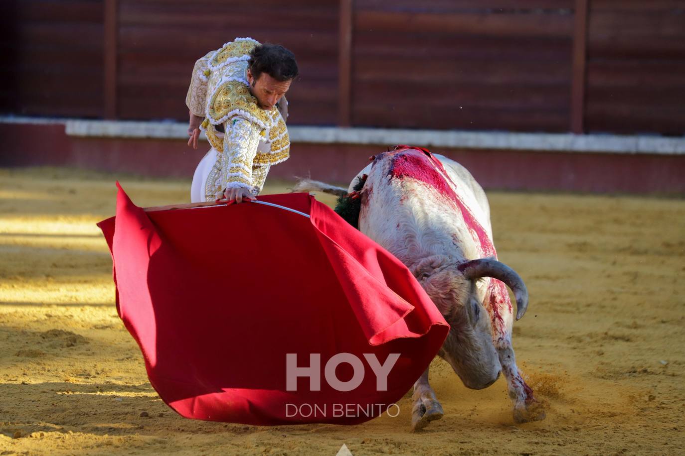 Corrida de toros mixta en la plaza de toros de Don Benito con motivo del día de Extremadura. 