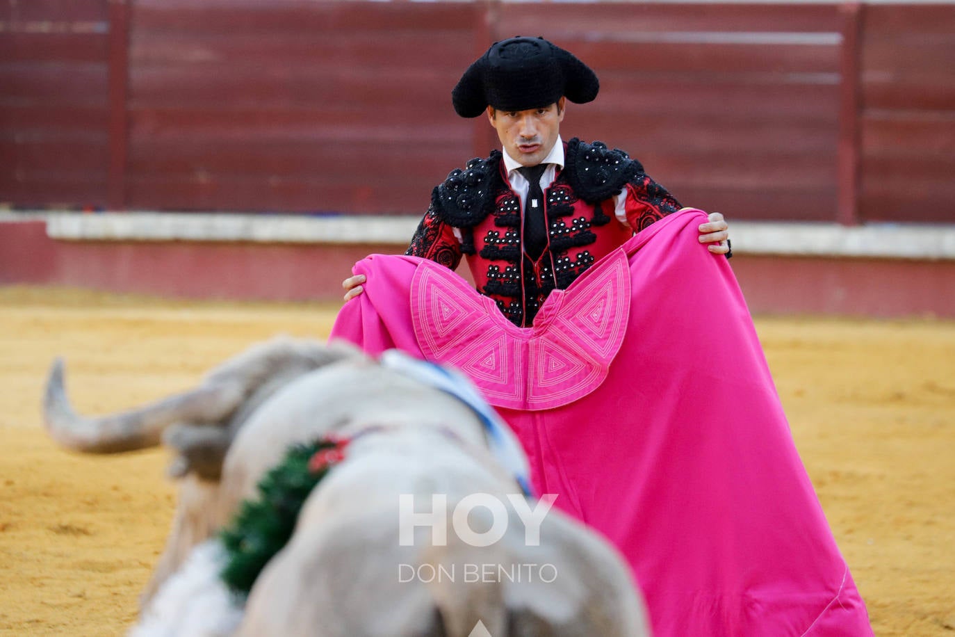 Corrida de toros mixta en la plaza de toros de Don Benito con motivo del día de Extremadura. 