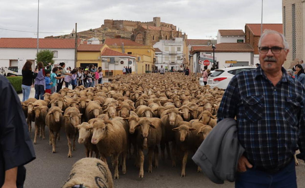 La trasterminancia vuelve a hacer escala en Don Benito