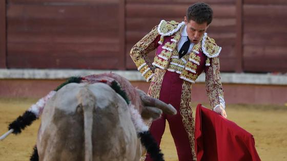 Ginés Marín sustituye a Morante este viernes en Don Benito