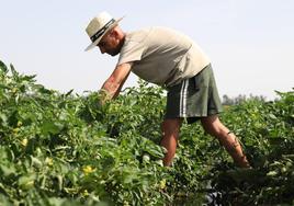 El desempleo baja en 318 personas a lo largo de 2023