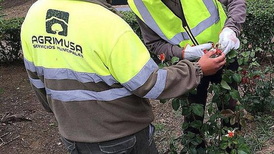 El consejo de Agrimusa aprueba sus cuentas para 2024