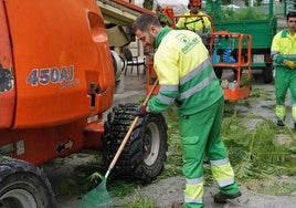 Agrimusa presenta unas cuentas que el PSOE critica