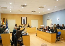 El Ayuntamiento pedirá 15 millones de euros en fondos europeos