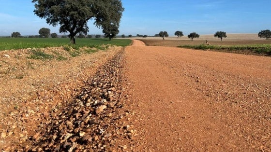 Finaliza el acondicionamiento de doce caminos rurales