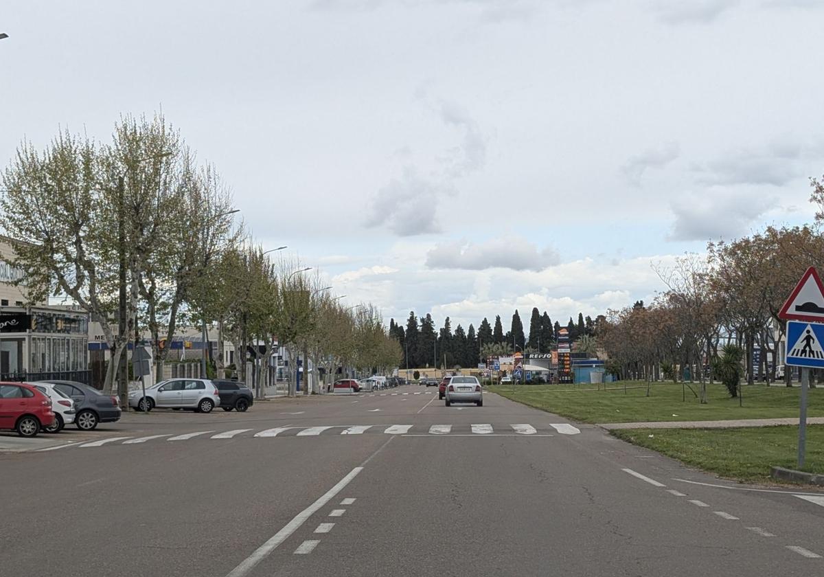 El Ayuntamiento estudia mejoras en avenida de Madrid