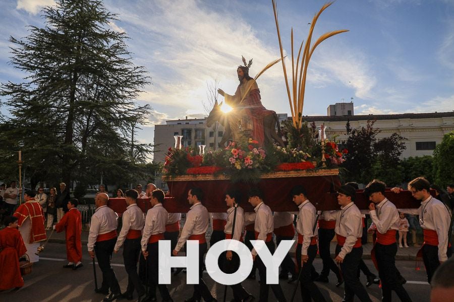 Imágenes de la procesión del Domingo de Ramos en Don Benito