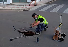 El Ayuntamiento recibe más de 100 alertas sobre plagas