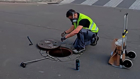 El Ayuntamiento recibe más de 100 alertas sobre plagas