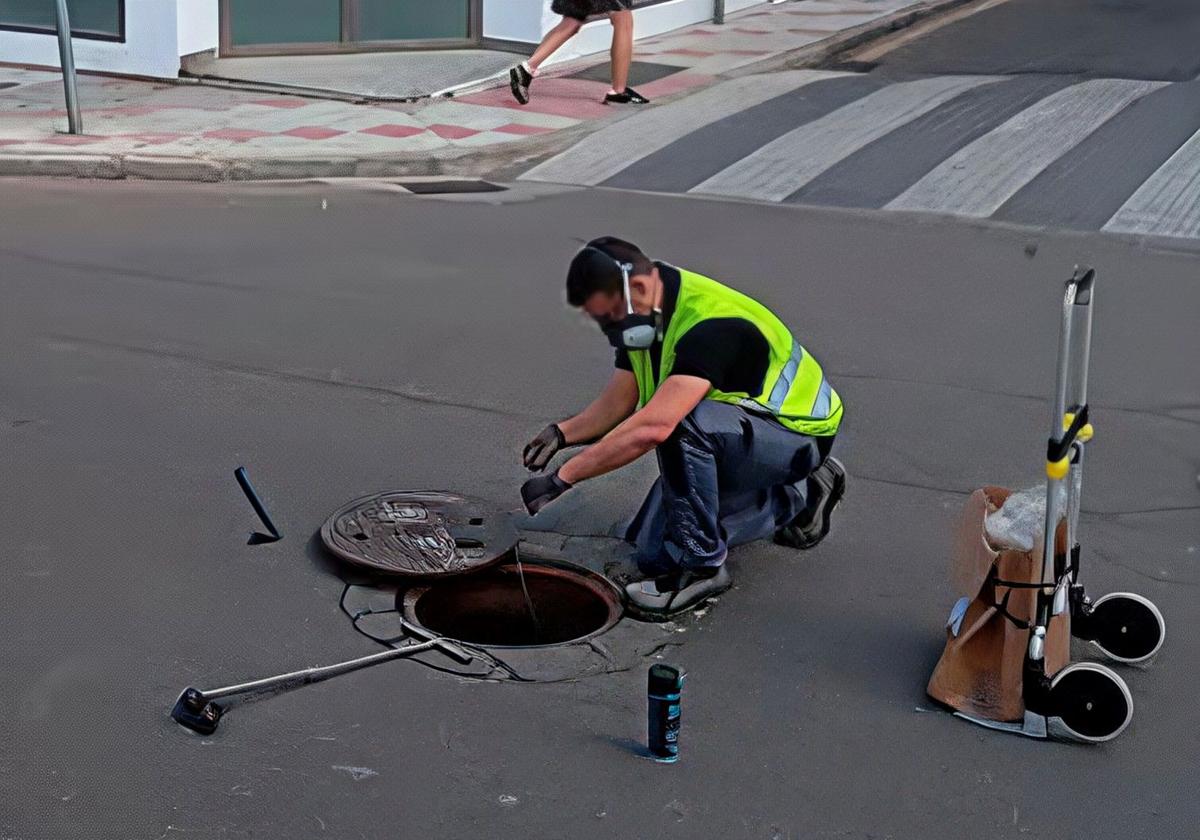 El Ayuntamiento recibe más de 100 alertas sobre plagas