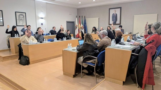 El Ayuntamiento recurrirá la sentencia por plagio del cartel de carnaval