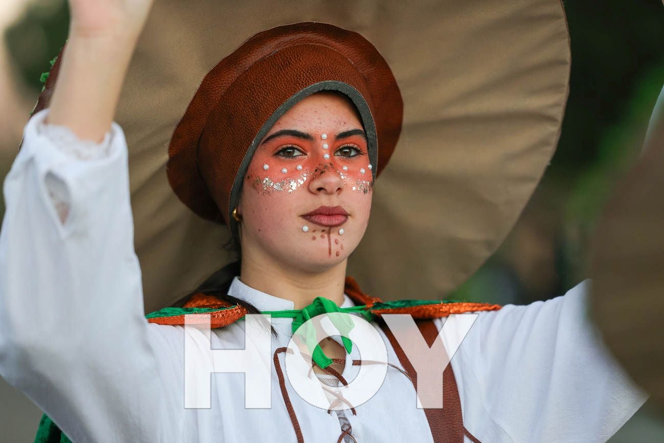 Fotos | Desfile de comparsas del Carnaval de Don Benito 2026 (I)